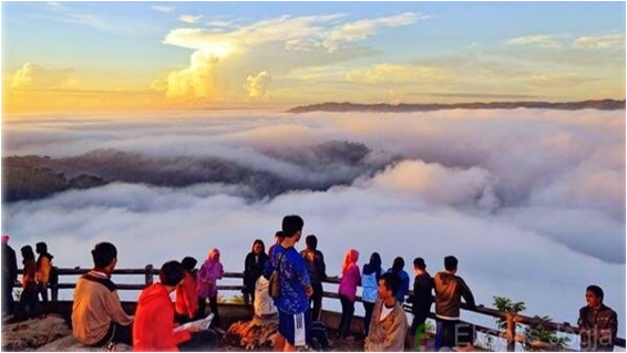 Negeri Diatas Awan, Puncak Mangunan, Hutan Pinus, Pantai Wonosari